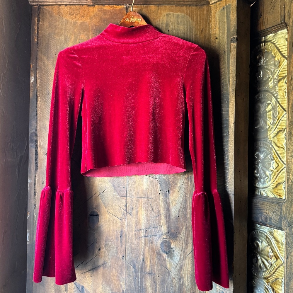 Dramatic bell sleeve crop top!